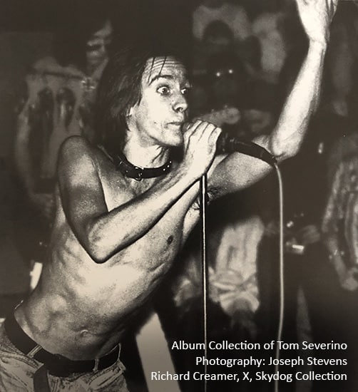 Iggy Pop on stage