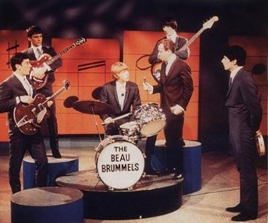Beau Brummels Concert Photo