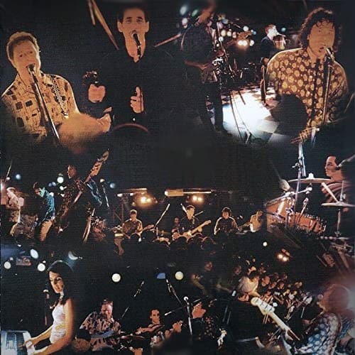 Rubinoos on stage