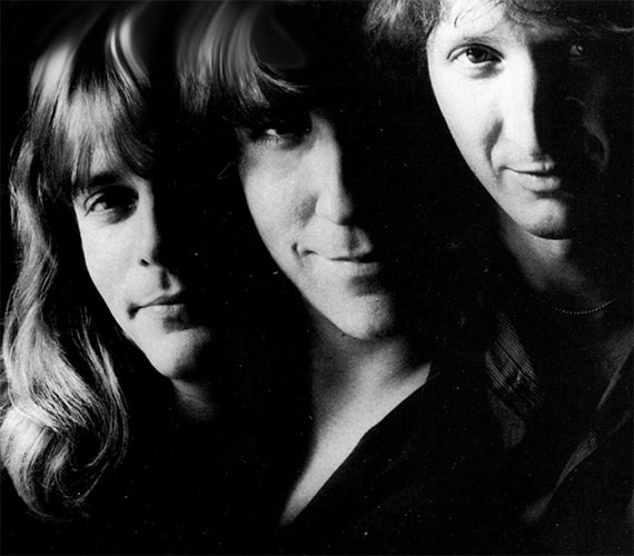 Zebra band photo